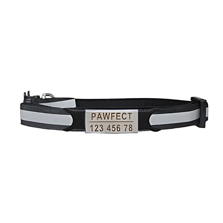 Reflective Cat Safety Buckle Collar!