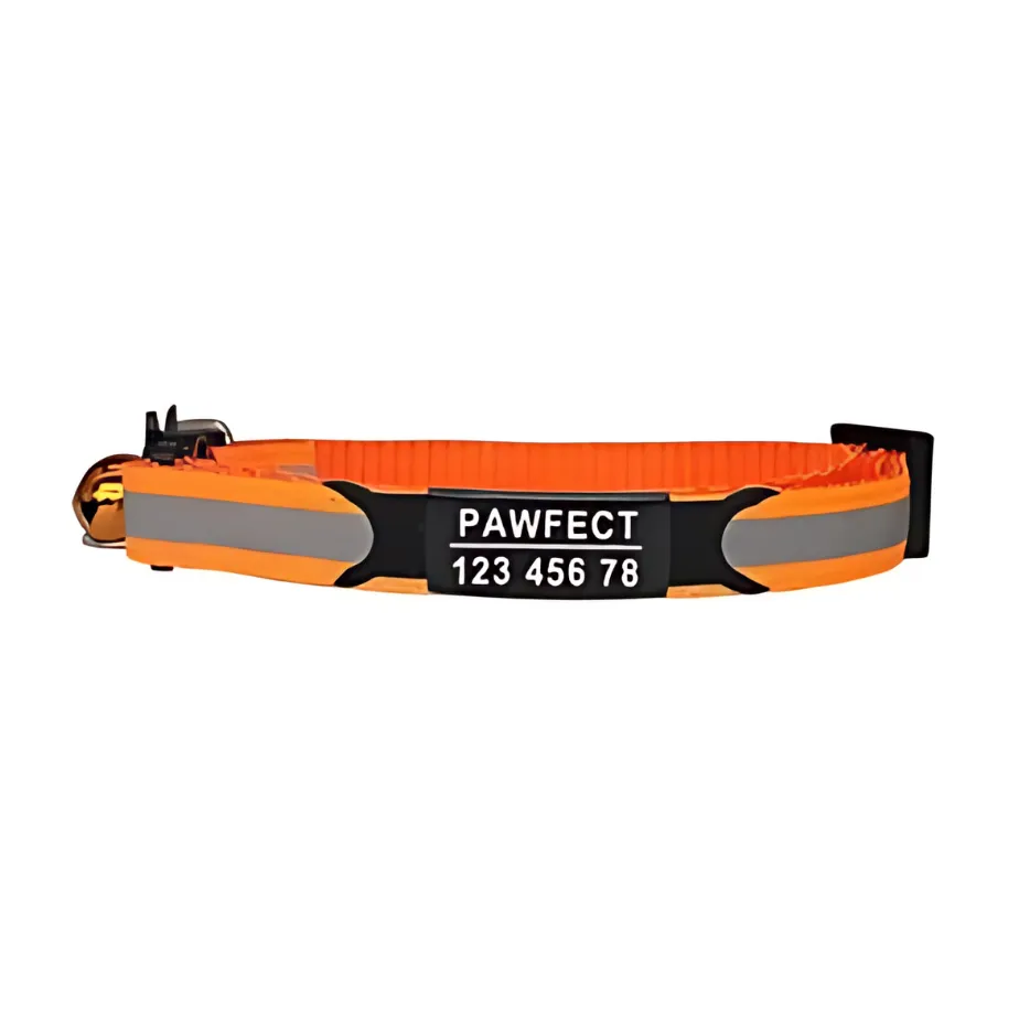 Reflective Cat Safety Buckle Collar!