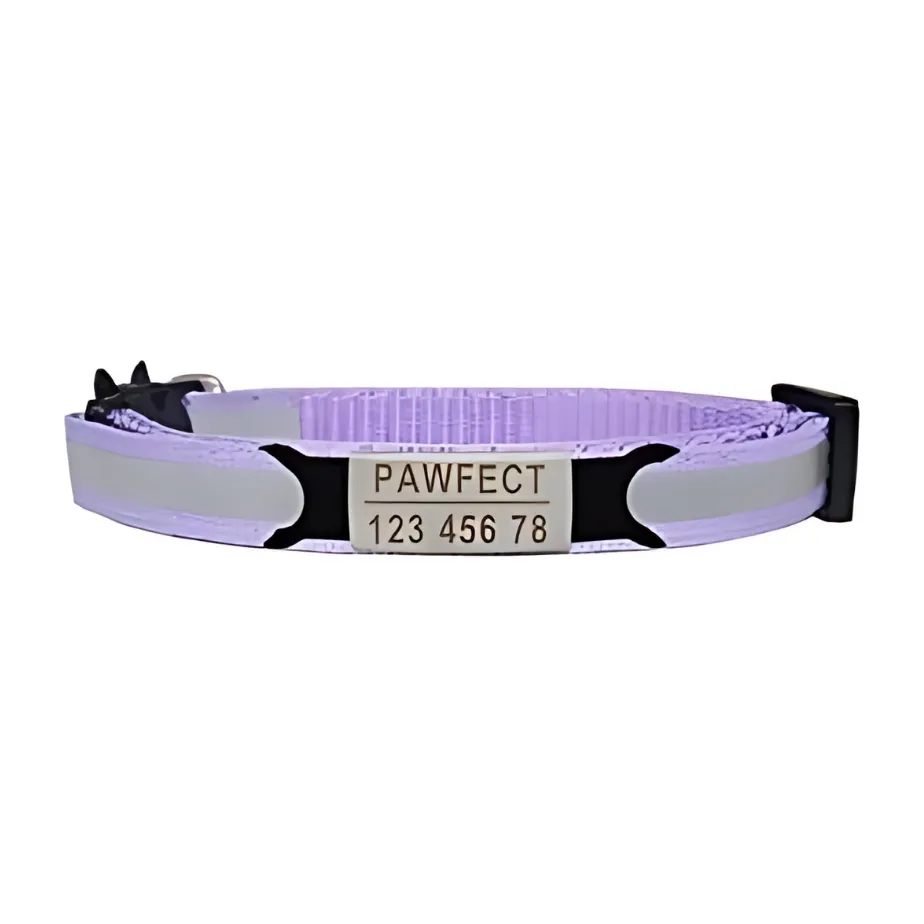 Reflective Cat Safety Buckle Collar!