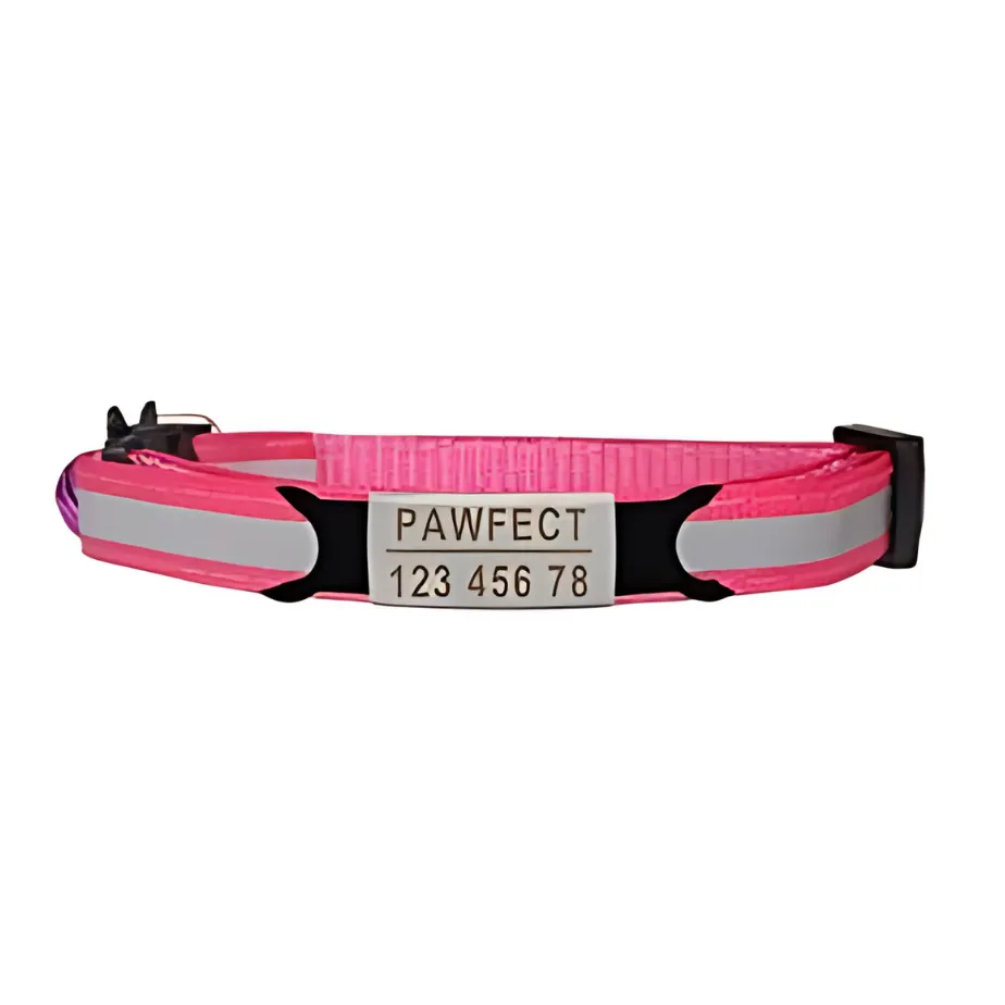 Reflective Cat Safety Buckle Collar!