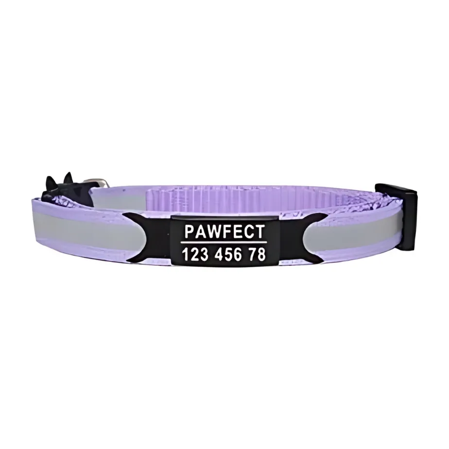 Reflective Cat Safety Buckle Collar!