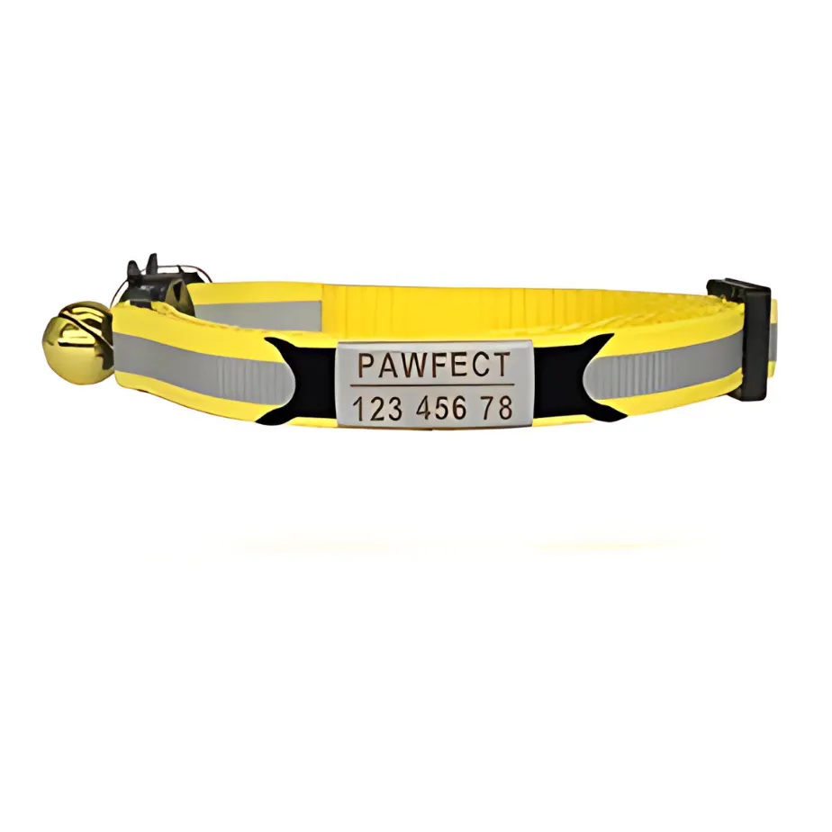 Reflective Cat Safety Buckle Collar!