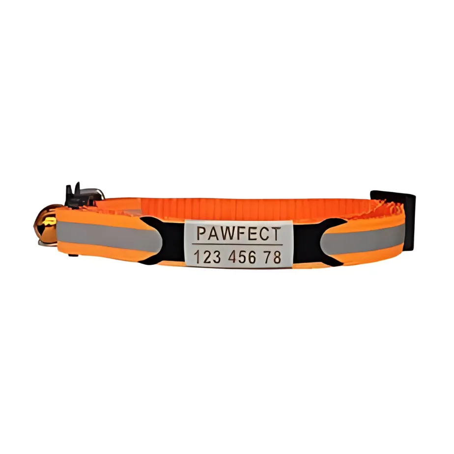 Reflective Cat Safety Buckle Collar!