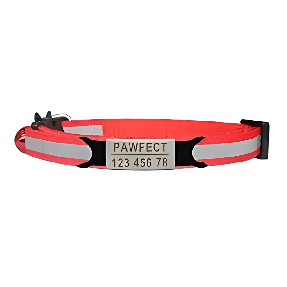 Reflective Cat Safety Buckle Collar!