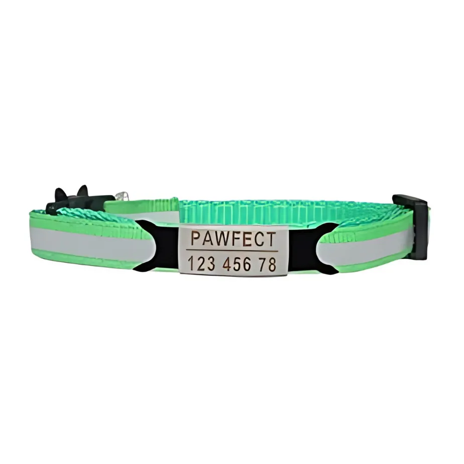 Reflective Cat Safety Buckle Collar!