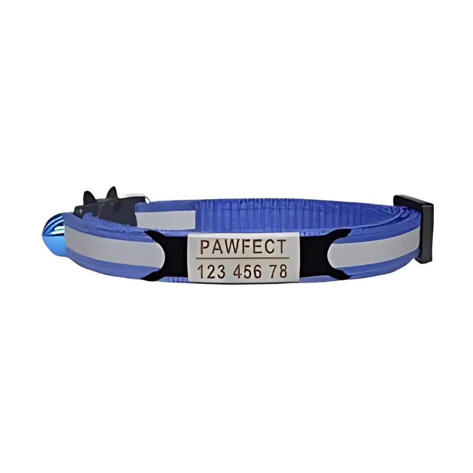 Reflective Cat Safety Buckle Collar!