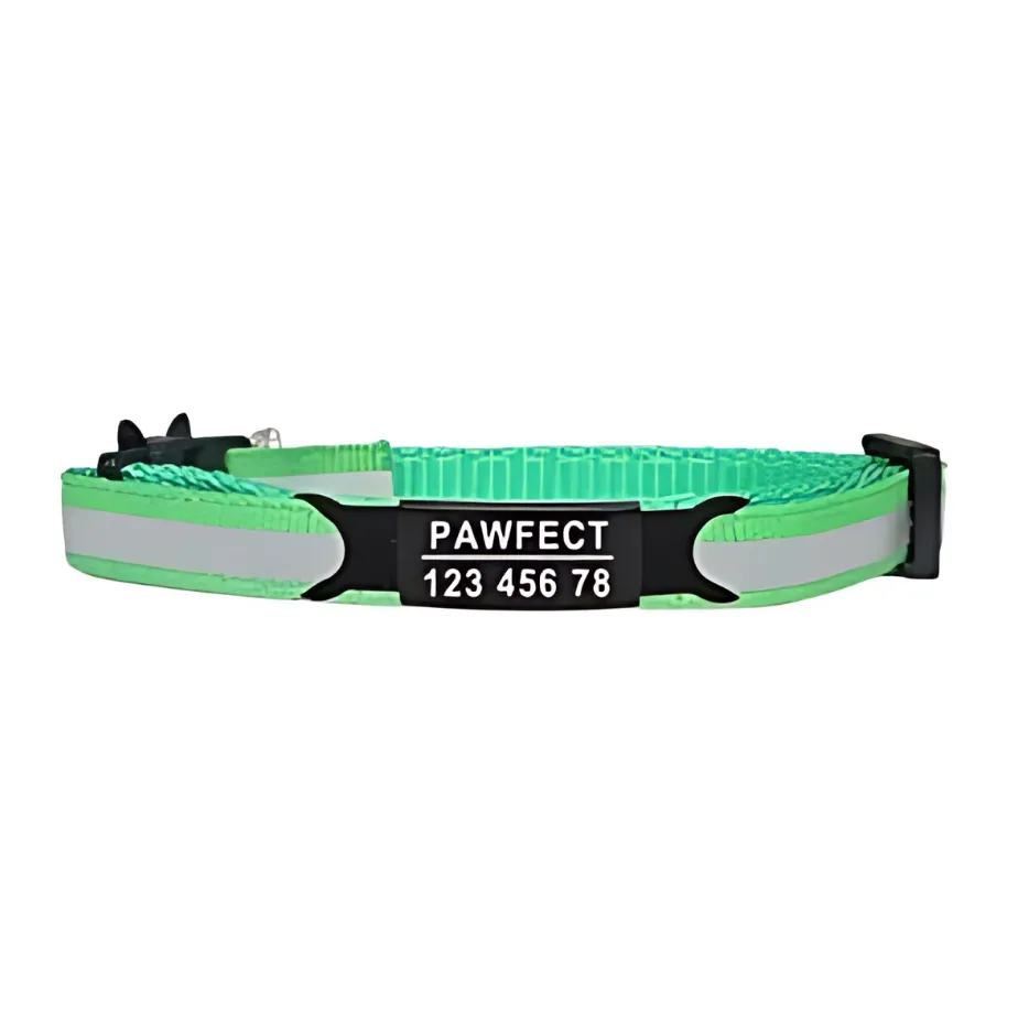 Reflective Cat Safety Buckle Collar!