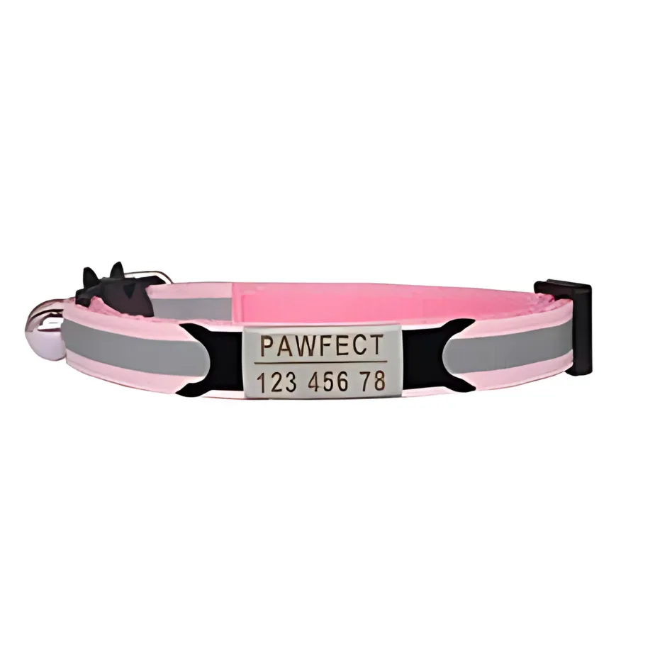 Reflective Cat Safety Buckle Collar!