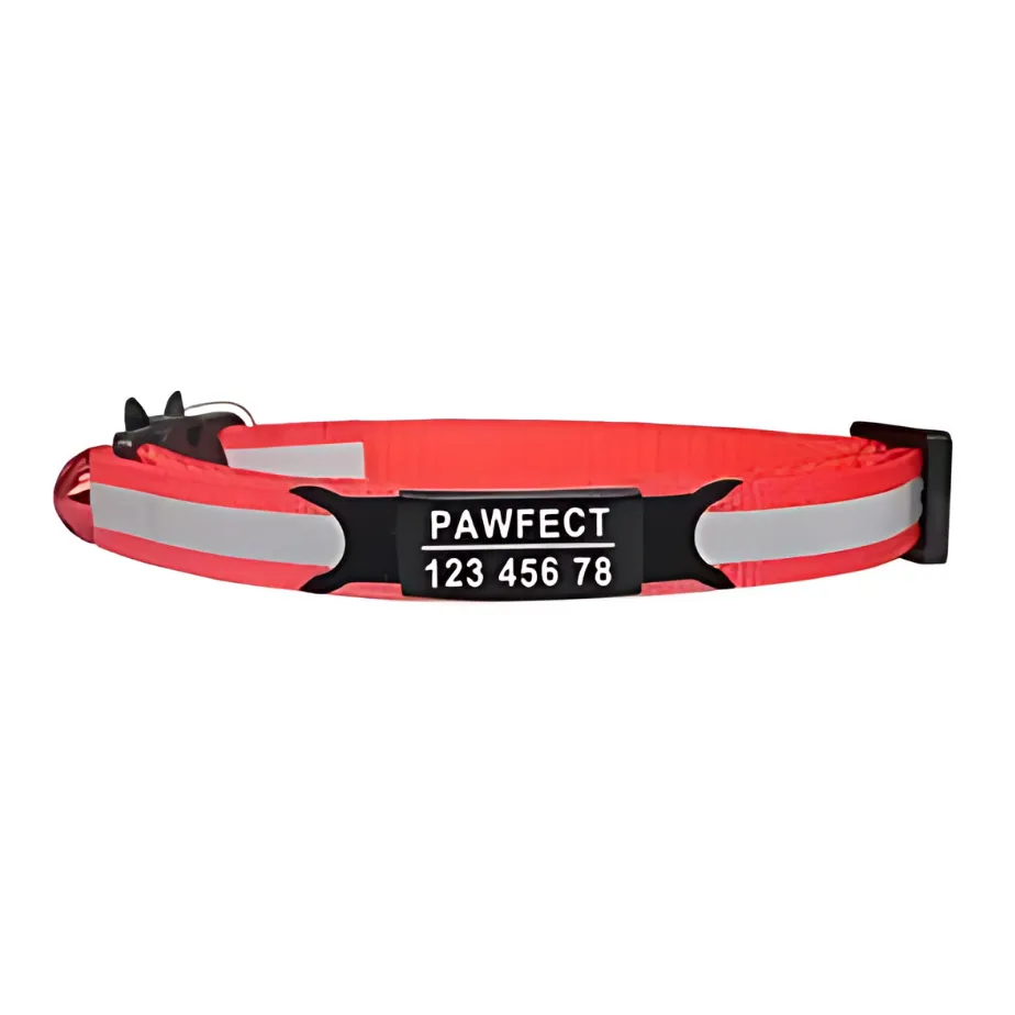Reflective Cat Safety Buckle Collar!