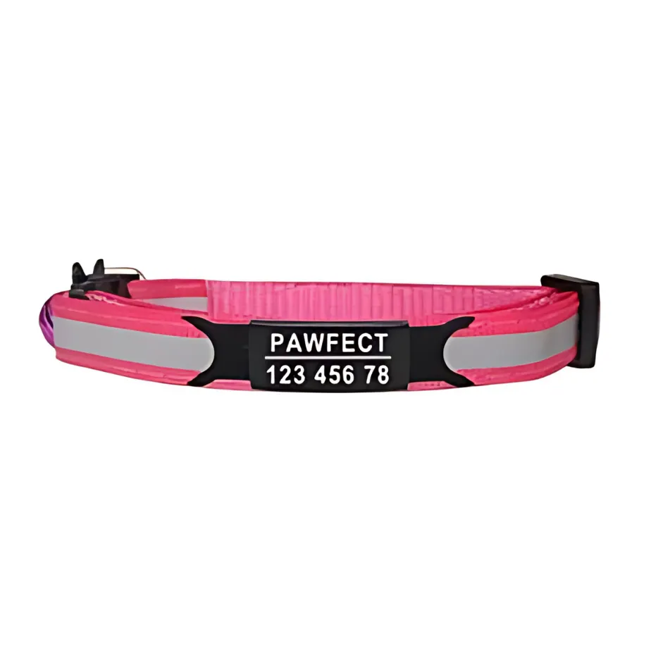 Reflective Cat Safety Buckle Collar!