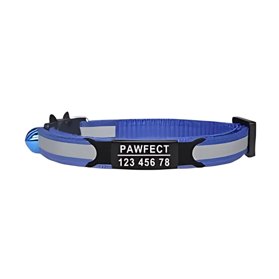 Reflective Cat Safety Buckle Collar!