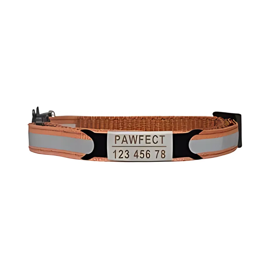 Reflective Cat Safety Buckle Collar!