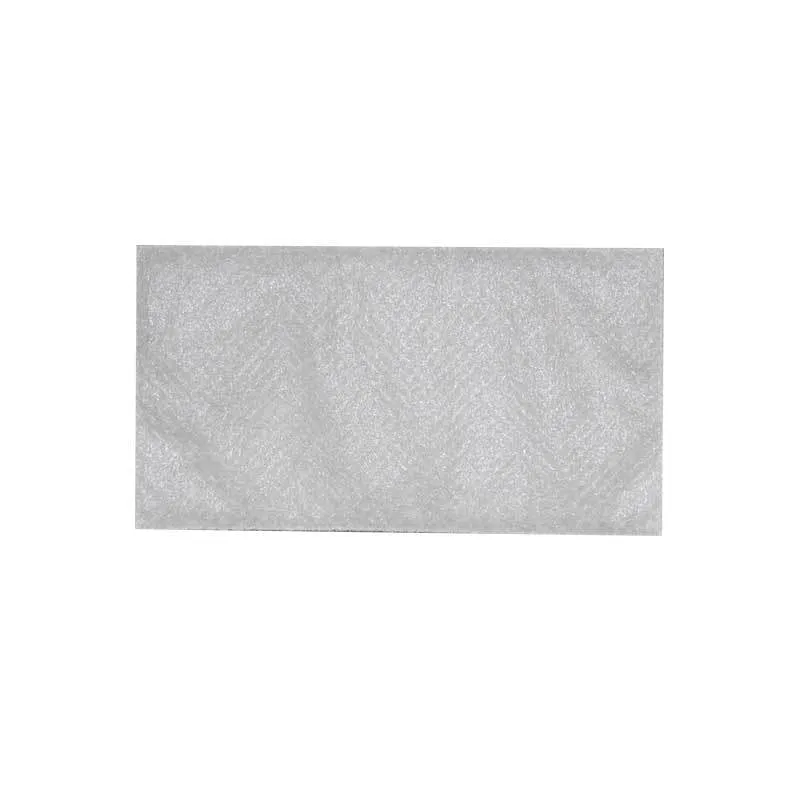 Riccar Brilliance Direct Air Motor Intake Filter