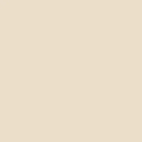 Rich Cream