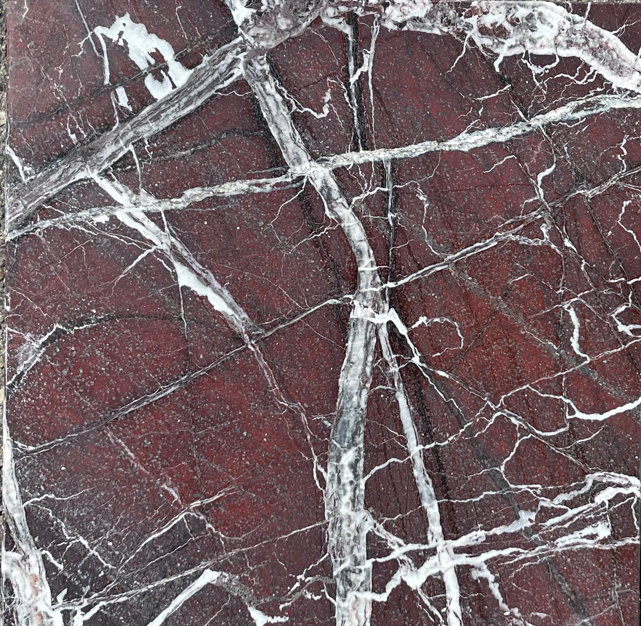 Rose Lavanto Marble 12 X 12 Field Tile POLISHED