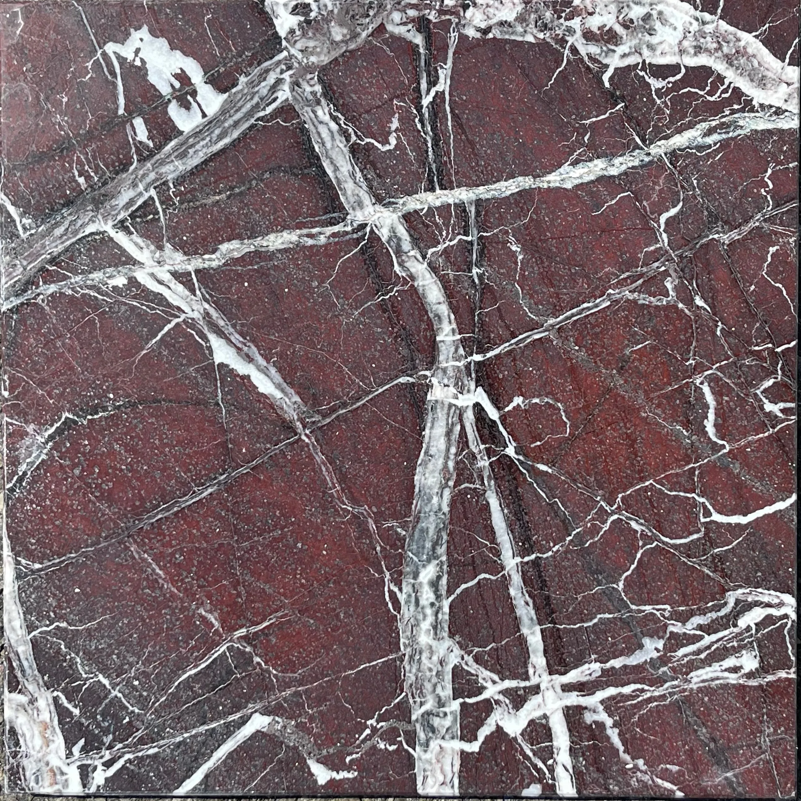 Rose Lavanto Marble 12 X 12 Field Tile POLISHED