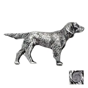 Silver Irish Setter