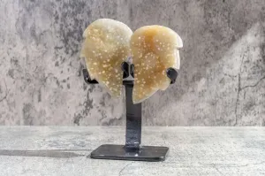 Small Yellow Amethyst Angel Wing Pair