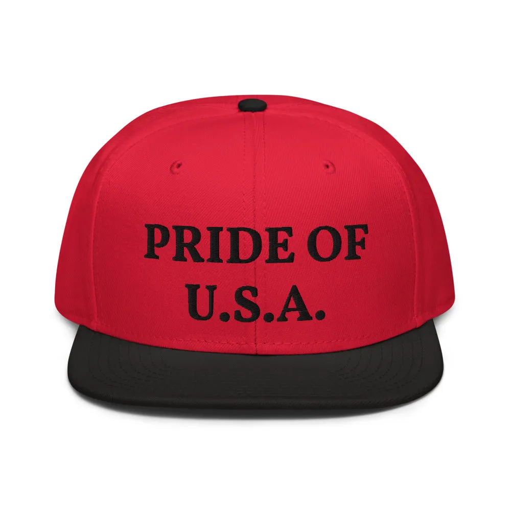 Snapback Hat "1054-0031 U.S.A. (Black Logo)"