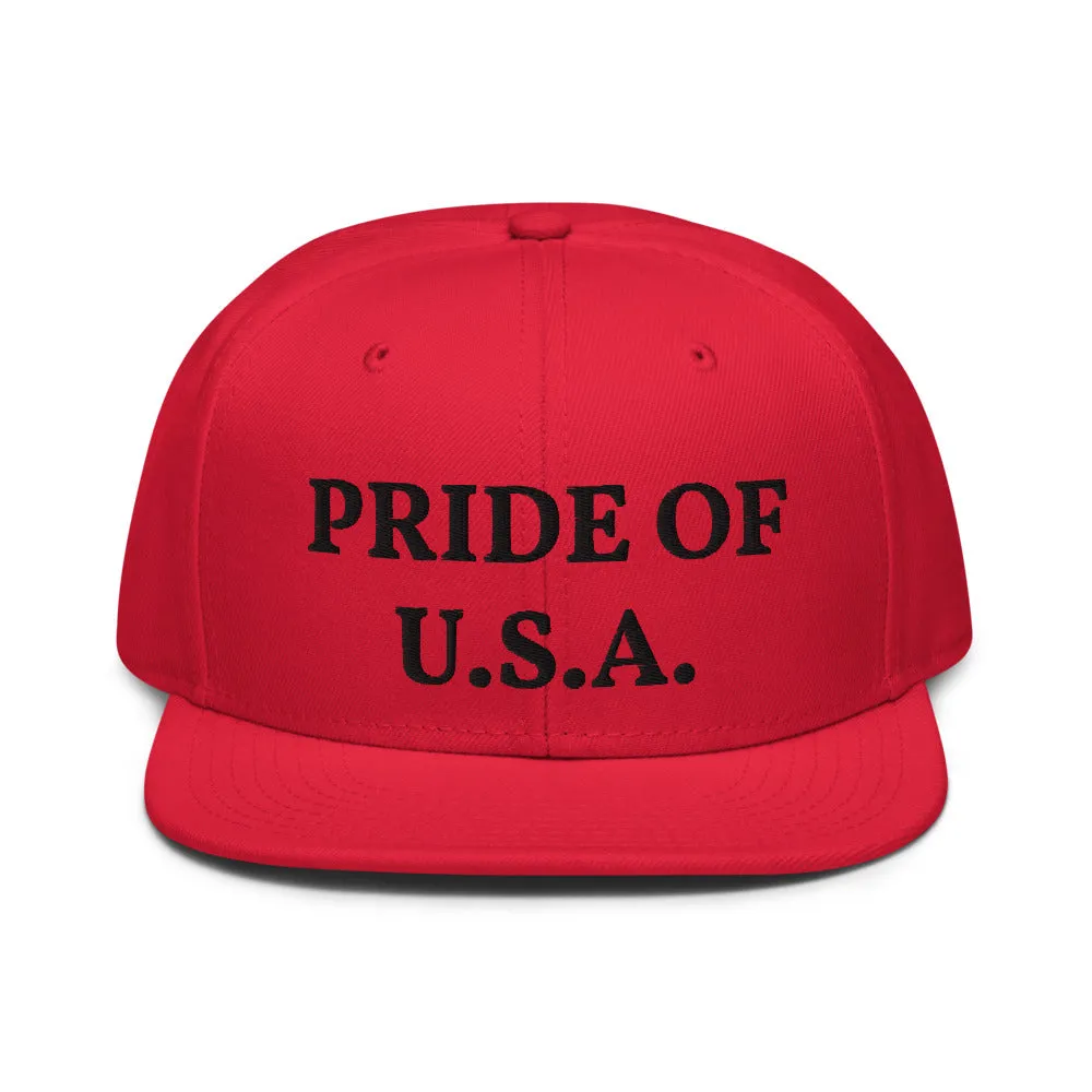 Snapback Hat "1054-0031 U.S.A. (Black Logo)"