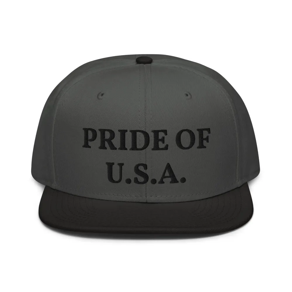 Snapback Hat "1054-0031 U.S.A. (Black Logo)"