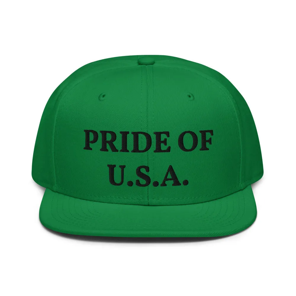 Snapback Hat "1054-0031 U.S.A. (Black Logo)"