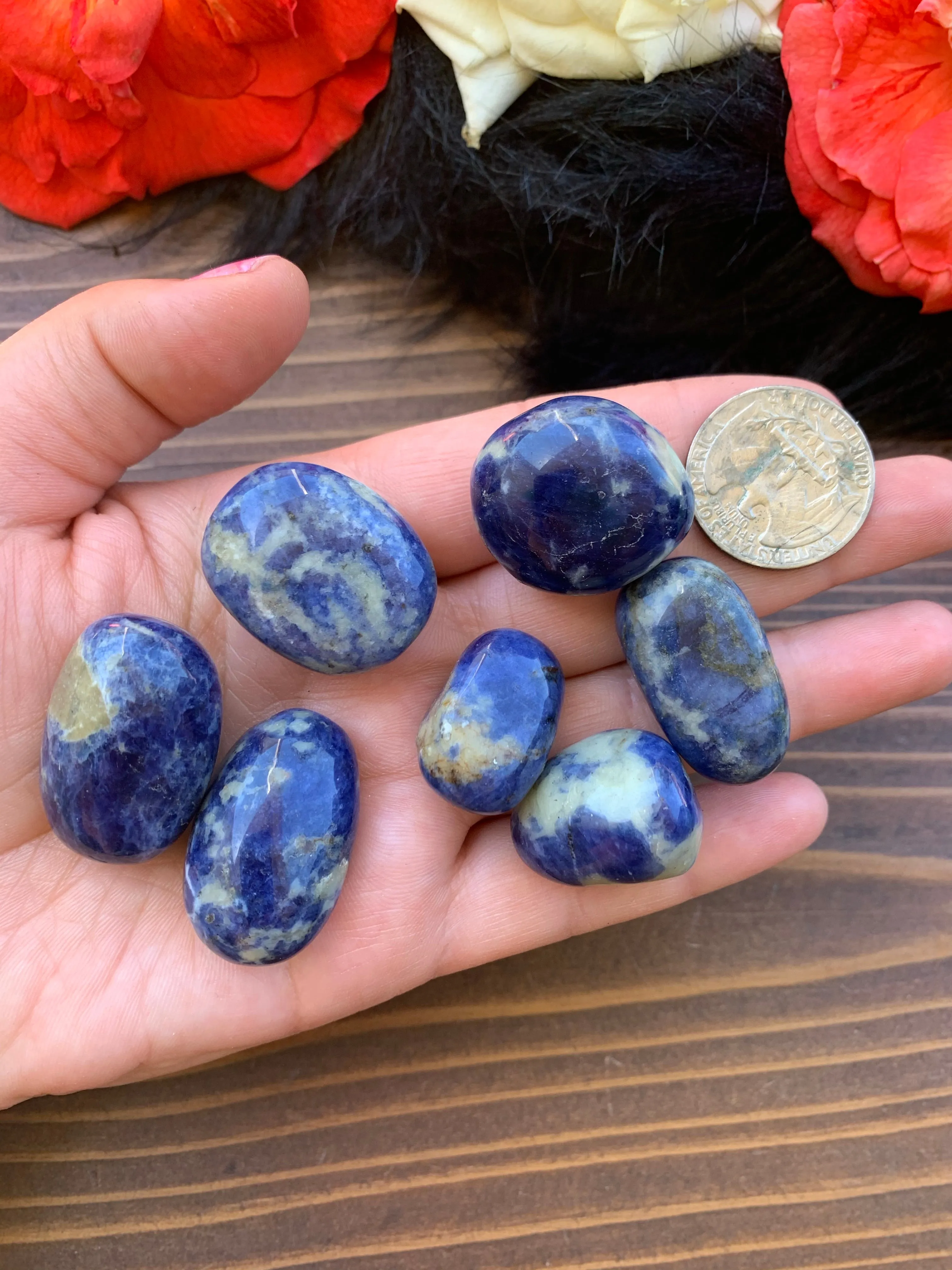 Sodalite tumble