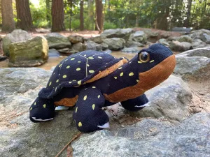 Spotted Turtle