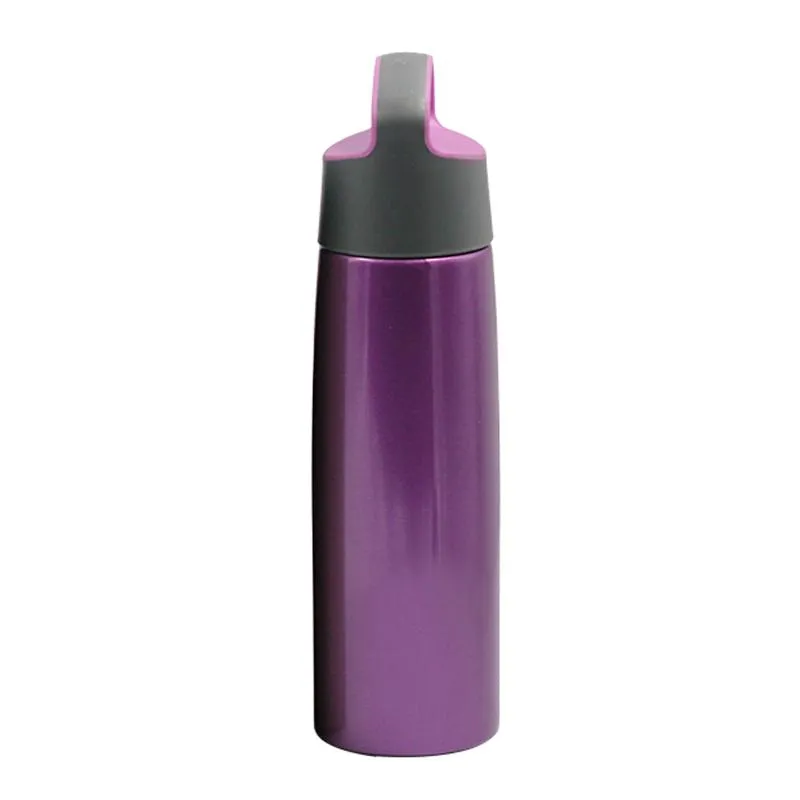 Stainless Steel Drinking Bottle With Angled Handle (Large)