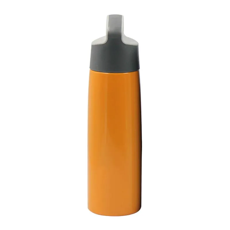 Stainless Steel Drinking Bottle With Angled Handle (Large)