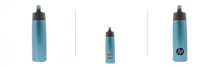 Stainless Steel Drinking Bottle With Angled Handle (Large)