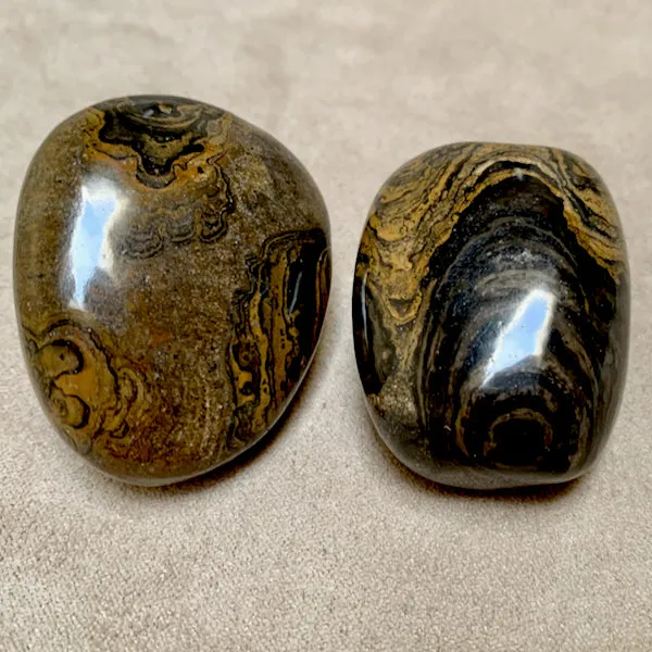 Stromatolite Polished Pebble