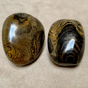 Stromatolite Polished Pebble