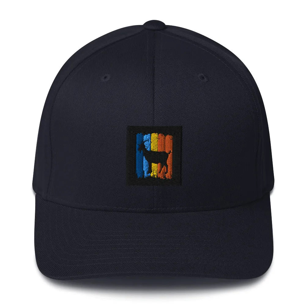 Structured Cap