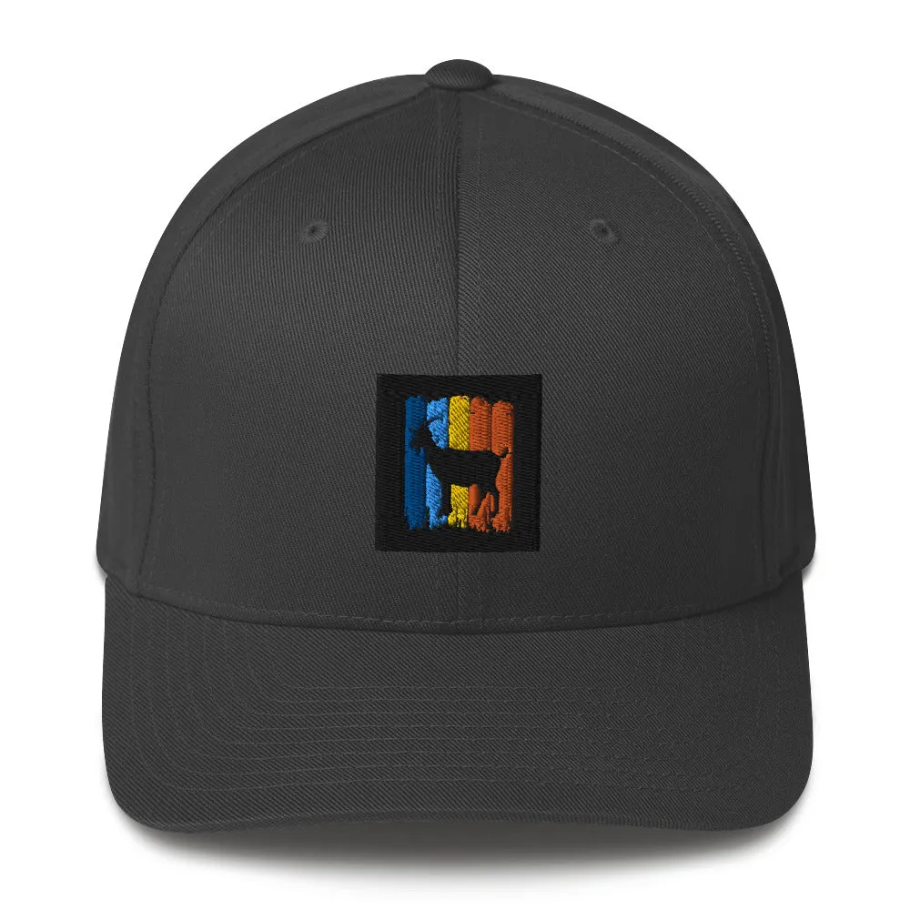 Structured Cap