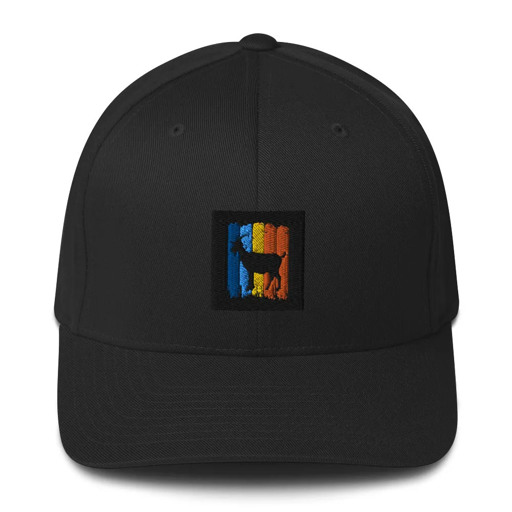 Structured Cap