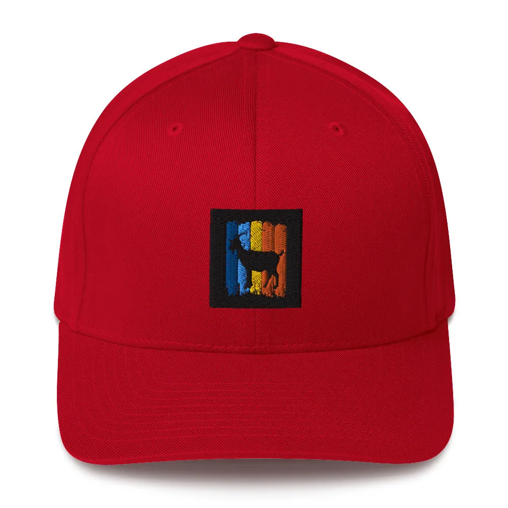 Structured Cap