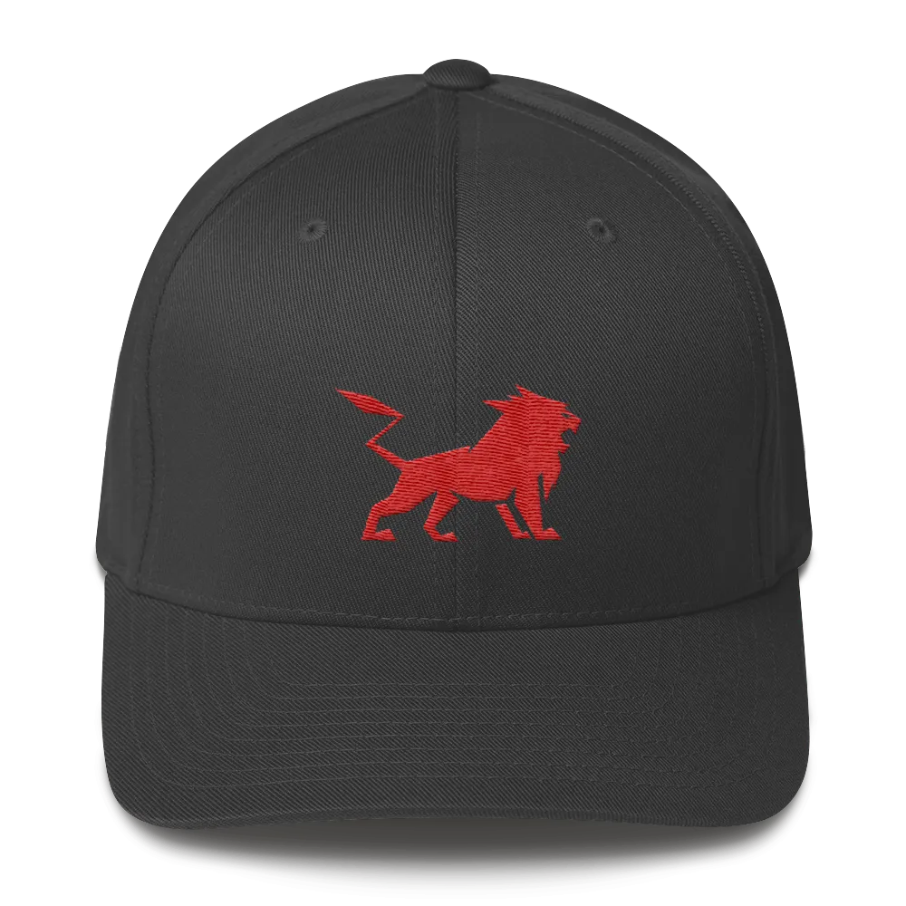 Structured Twill Cap