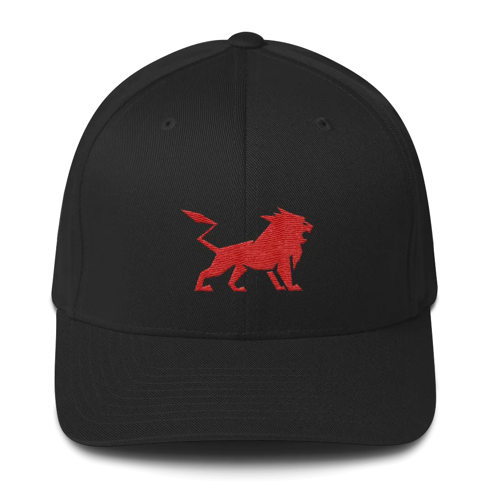 Structured Twill Cap