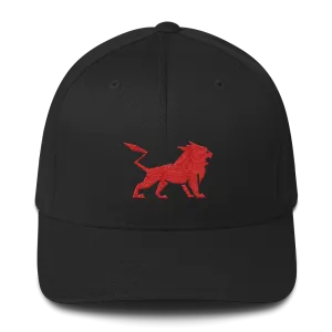 Structured Twill Cap