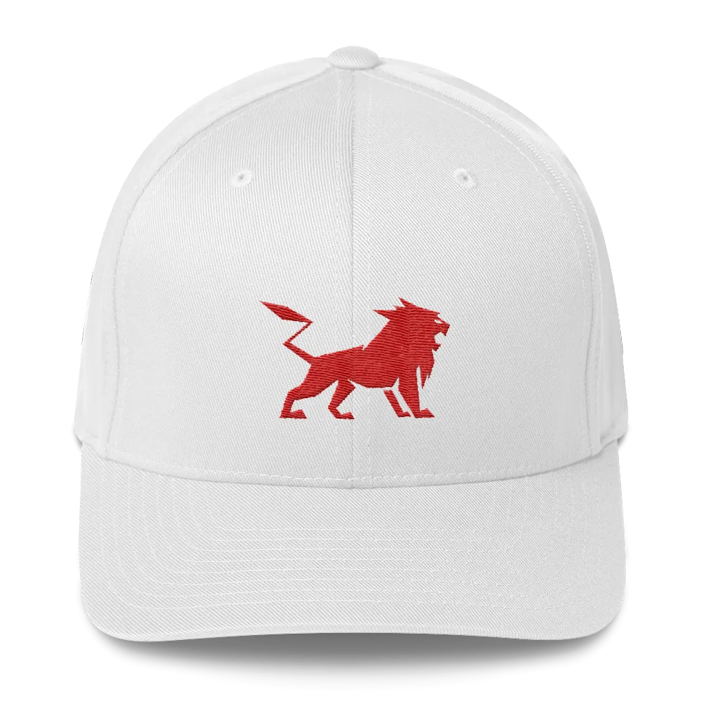 Structured Twill Cap