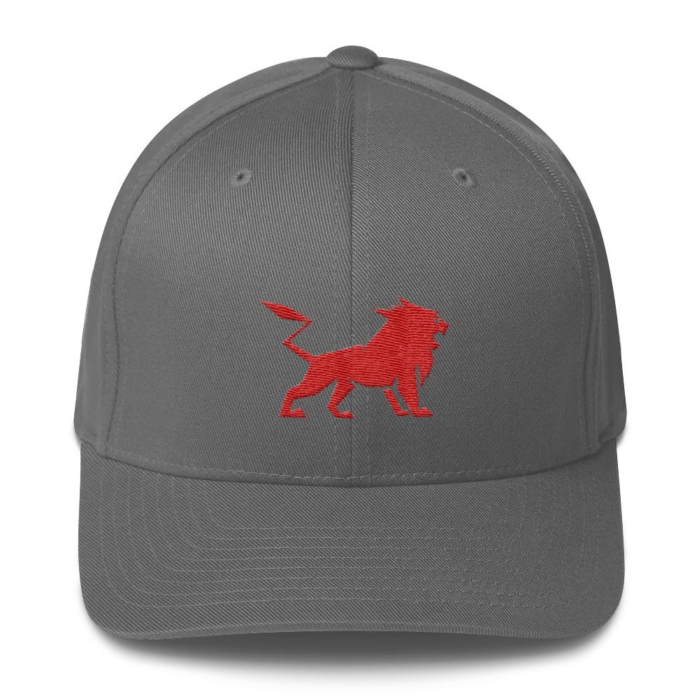 Structured Twill Cap