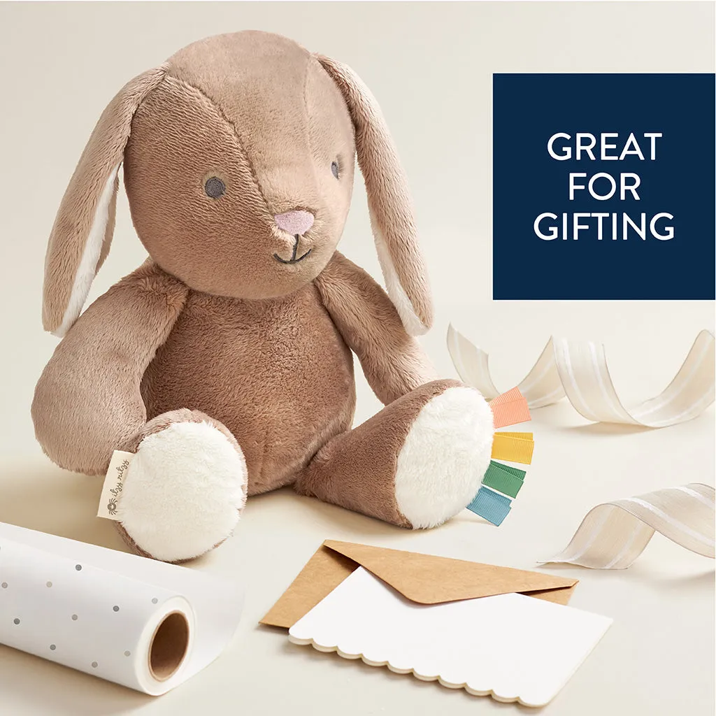 Sweetie Snuggles™ Plush - Bille the Bunnie (Taupe)