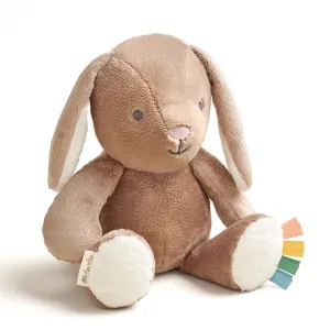 Sweetie Snuggles™ Plush - Bille the Bunnie (Taupe)