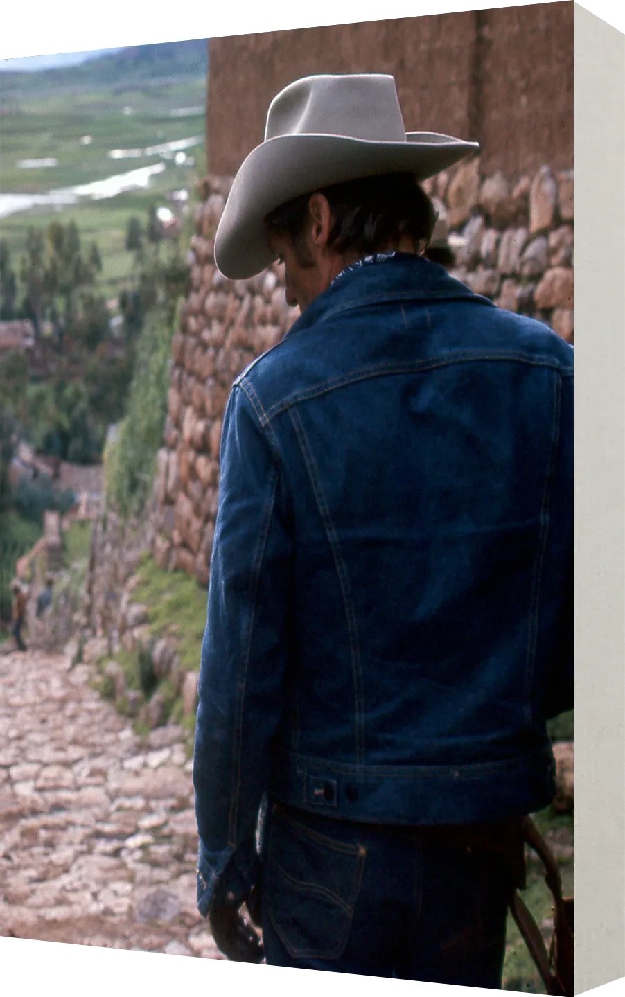 THE LAST MOVIE - LE