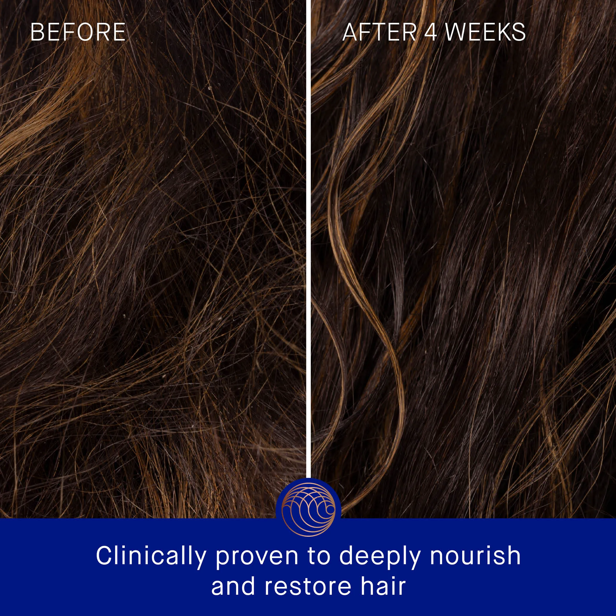 The Rich Shampoo