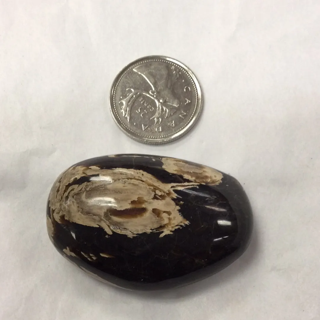 Tumbled Amber