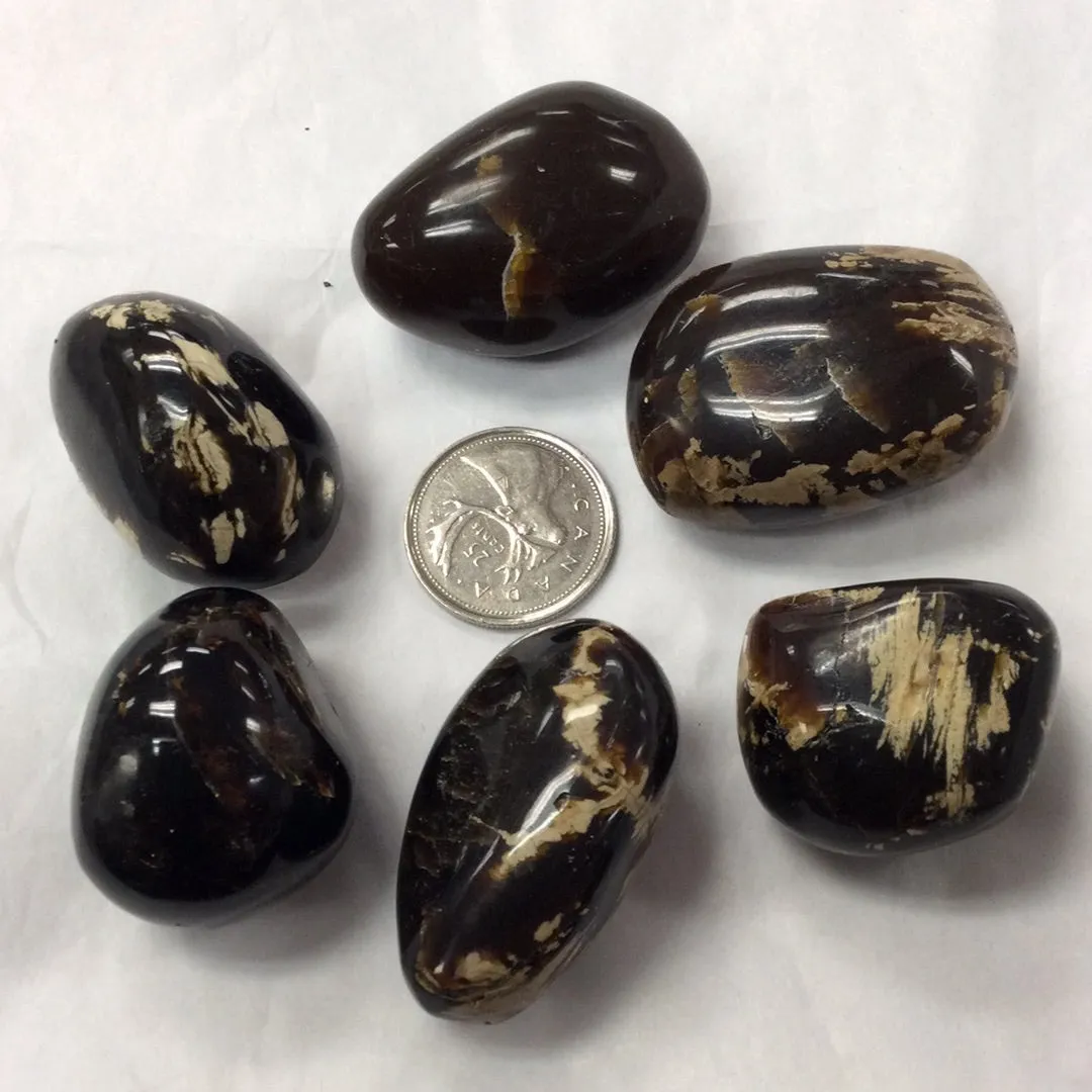 Tumbled Amber
