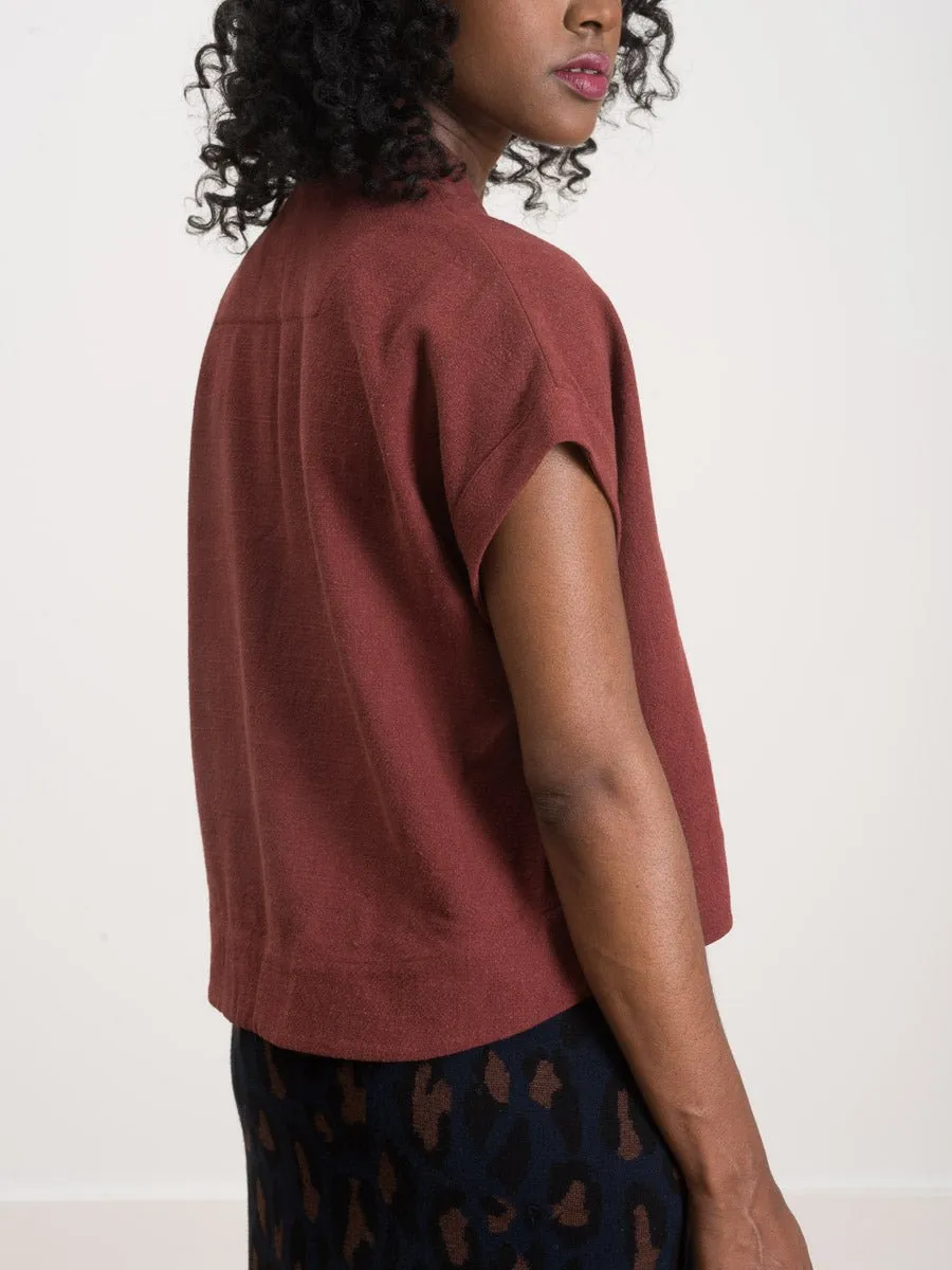 v-neck cropped top