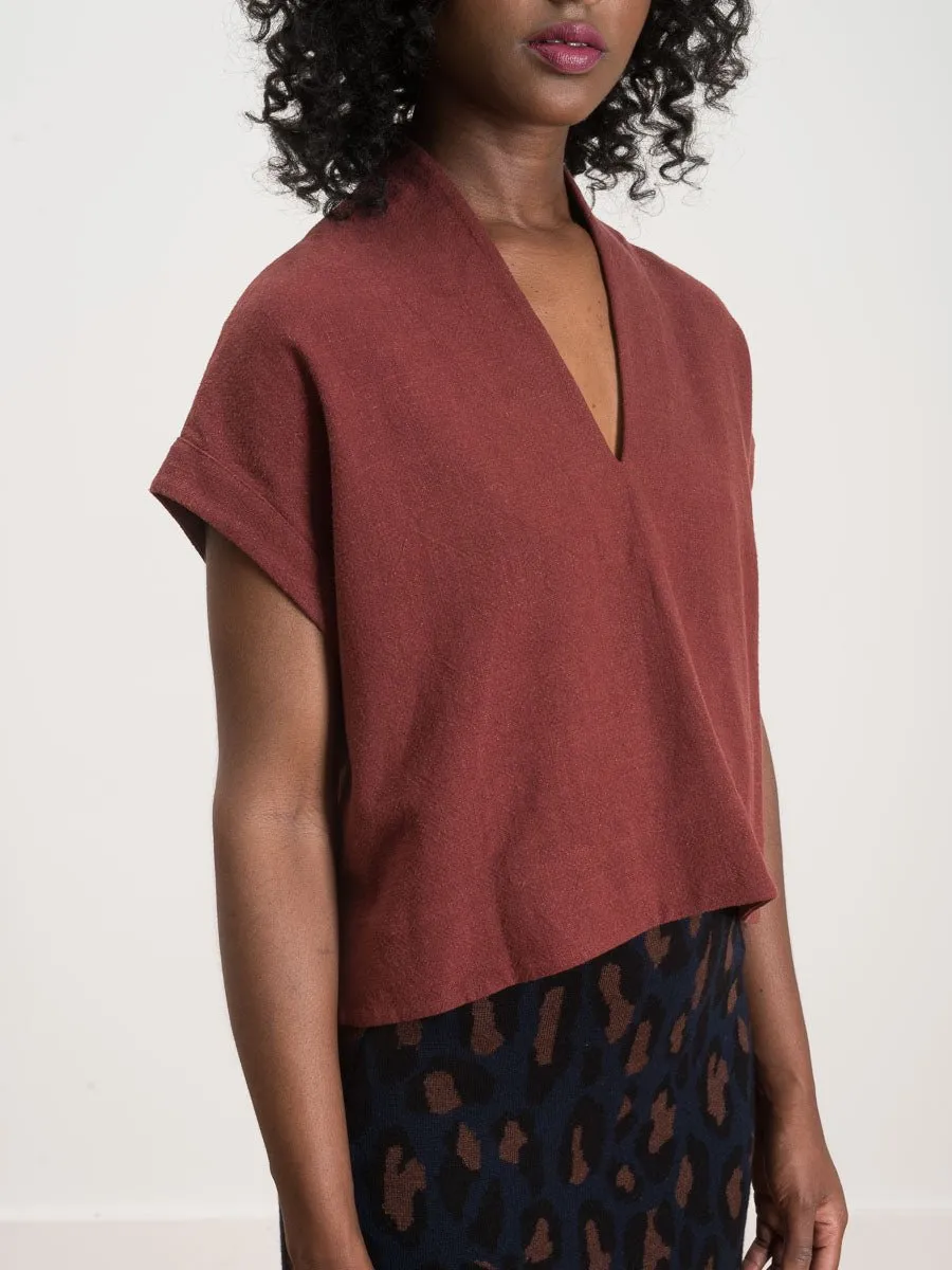 v-neck cropped top